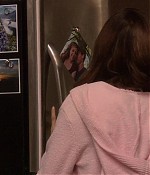 mad_weboflies_0255.jpg